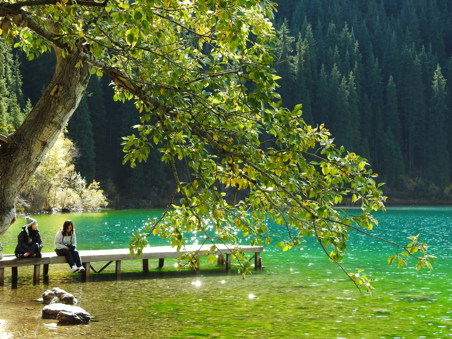 Best Views & Photo Spots